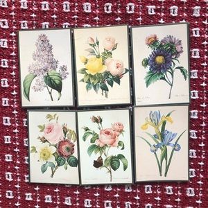 Redouté floral multi-colored botanical prints magnets: set of 6